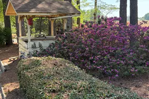 429 Butts Rd, Angier, NC 27501 - Photo 67