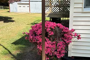 429 Butts Rd, Angier, NC 27501 - Photo 77