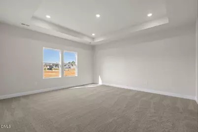 188 Margot Manor Drive, Benson, NC 27504 - Photo 23