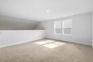 263 Margot Manor Dr, Benson, NC 27504 - Photo 21