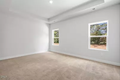 263 Margot Manor Drive, Benson, NC 27504 - Photo 23