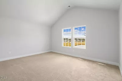 263 Margot Manor Drive, Benson, NC 27504 - Photo 29