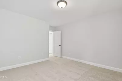 355 Margot Manor Drive, Benson, NC 27504 - Photo 49
