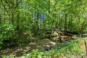 416 Livingstone Dr, Cary, NC 27513 - Photo 45