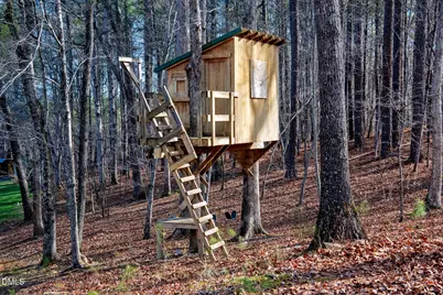 5200 Howard Court, Efland, NC 27243 - Photo 35