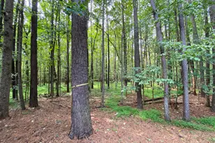 3129 Marywood Dr, Durham, NC 27712 - Photo 35