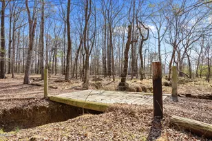 2515 Moores Mill Rd, Rougemont, NC 27572 - Photo 91