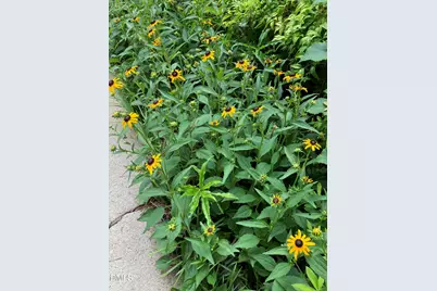 2064 Oxford Road, Henderson, NC 27536 - Photo 67