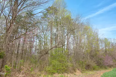 00 Tatum Road Road, Roxboro, NC 27574 - Photo 19