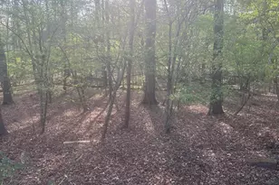 8 Arrowwood Ct, Durham, NC 27712 - Photo 5