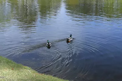 2434 Swans Rest Way, Raleigh, NC 27606 - Photo 45