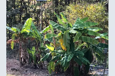 450 Ryan Road, Pittsboro, NC 27312 - Photo 49