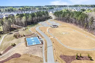 253 Eden Vw Bnd, Raleigh, NC 27610 - Photo 43