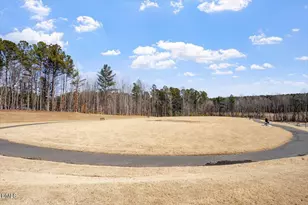 156 Sweet Lilac Wy, Raleigh, NC 27610 - Photo 35