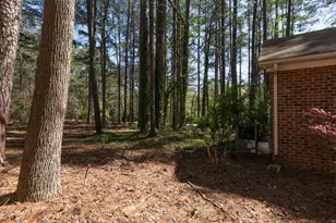 6119 Splitrock Trail, Apex, NC 27539 - Photo 31