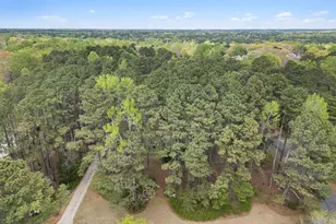 6119 Splitrock Trail, Apex, NC 27539 - Photo 51