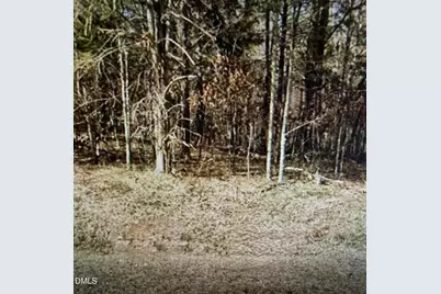 Lot 11 Lynn Smith Road, Semora, NC 27343 - Photo 5