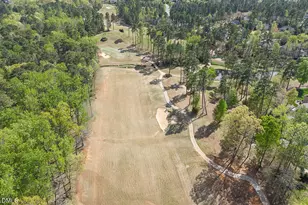 441 Mountain Laurel, Chapel Hill, NC 27517 - Photo 51