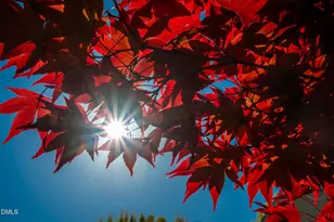 5319 Corinthian Way, Raleigh, NC 27607 - Photo 5