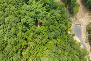 87 Anfield Rd, New Hill, NC 27562 - Photo 11