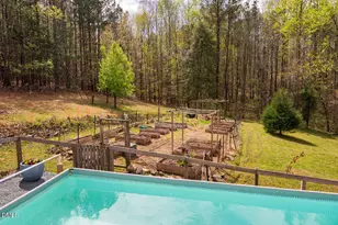 265 Old Chestnut Crossing, Moncure, NC 27559 - Photo 35