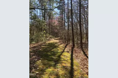 910 Nc-902, Pittsboro, NC 27312 - Photo 7