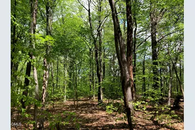 910 Nc-902, Pittsboro, NC 27312 - Photo 3