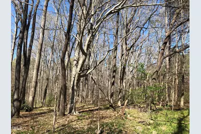 910 Nc-902, Pittsboro, NC 27312 - Photo 9