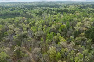 132 Creekview Cir, Carrboro, NC 27510 - Photo 55