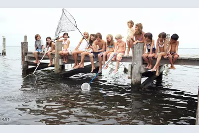 2229 Redpoll Drive, Apex, NC 27539 - Photo 23