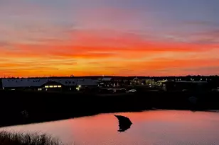 236 Douglas Falls Dr, Wendell, NC 27591 - Photo 21