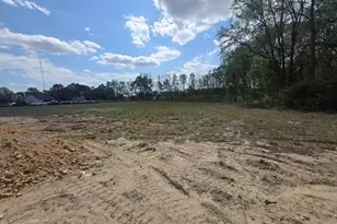 71 Roll Tide Ct, Angier, NC 27501 - Photo 17