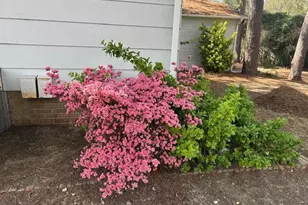 830 Dinmont Cir, Fayetteville, NC 28306 - Photo 15