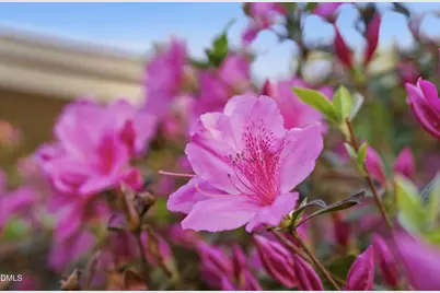 2420 Tyson Street, Raleigh, NC 27612 - Photo 31