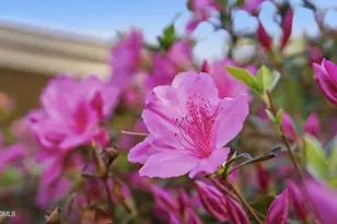 2420 Tyson St, Raleigh, NC 27612 - Photo 31