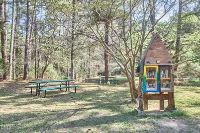 117 Dixie Drive, Chapel Hill, NC 27514 - Photo 67