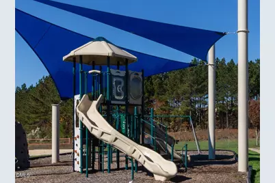 36 Nuthatch Drive, Pittsboro, NC 27312 - Photo 59