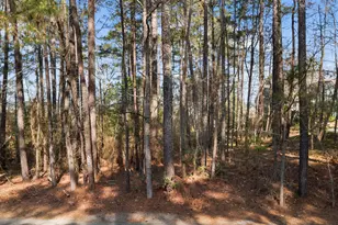 934 Water Oak Pl, Vass, NC 28394 - Photo 1