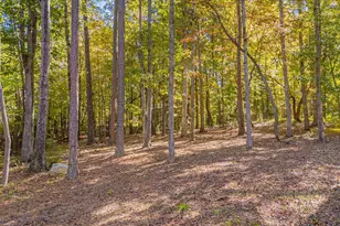 3100 Mel Oaks Trail, Chapel Hill, NC 27516 - Photo 51
