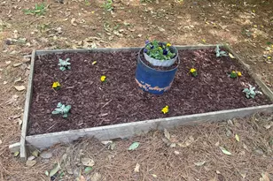 3236 Ward Rd, Raleigh, NC 27604 - Photo 37