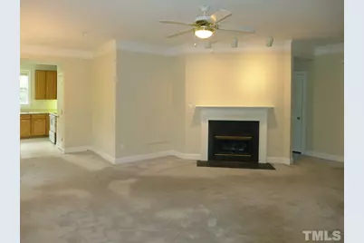 124 Providence Glen Drive, Chapel Hill, NC 27514 - Photo 3