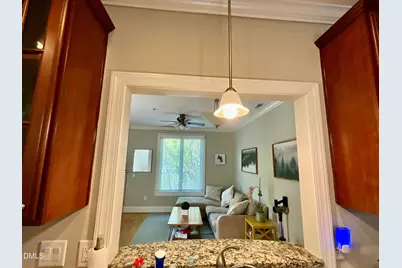 400 W Rosemary Street #Unit 401, Chapel Hill, NC 27516 - Photo 11