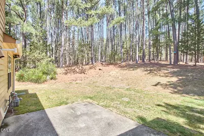 9 Cabes Mill Road, Durham, NC 27705 - Photo 33