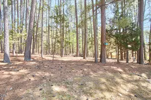 9 Cabes Mill Rd, Durham, NC 27705 - Photo 37