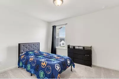 260 Chestnut Oak Lane, Lillington, NC 27546 - Photo 23