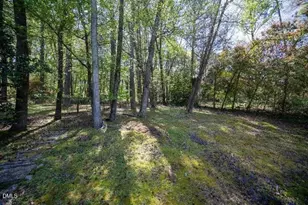 117 Red Bud Ct, Cary, NC 27513 - Photo 49