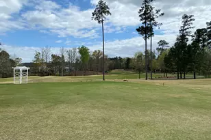 117 Old Wisteria Ct, Holly Springs, NC 27540 - Photo 35