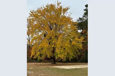 2122 Godwin Lake Road, Benson, NC 27504 - Photo 25