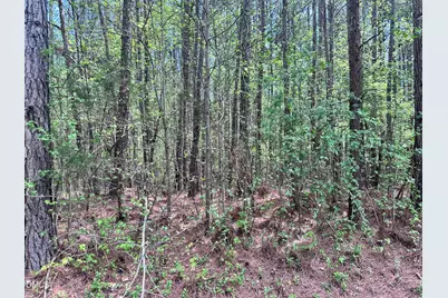 7227 Russell Road, Durham, NC 27712 - Photo 1