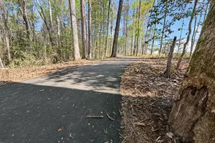 118 Eagle Rock Dr, Lillington, NC 27546 - Photo 95